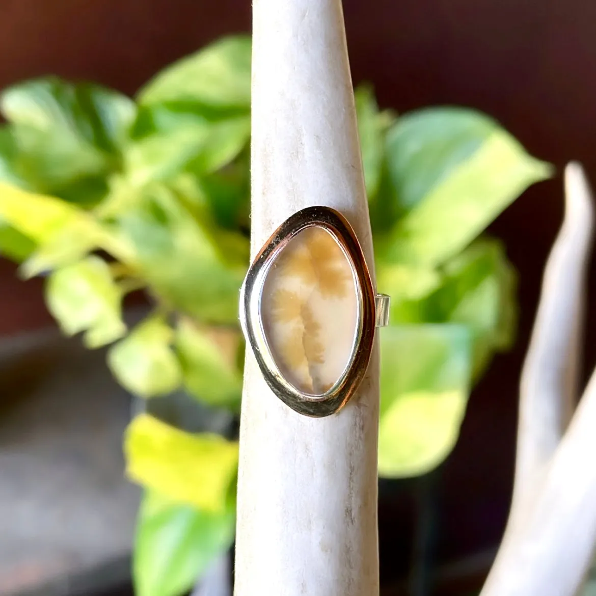 Bent Feathers ring