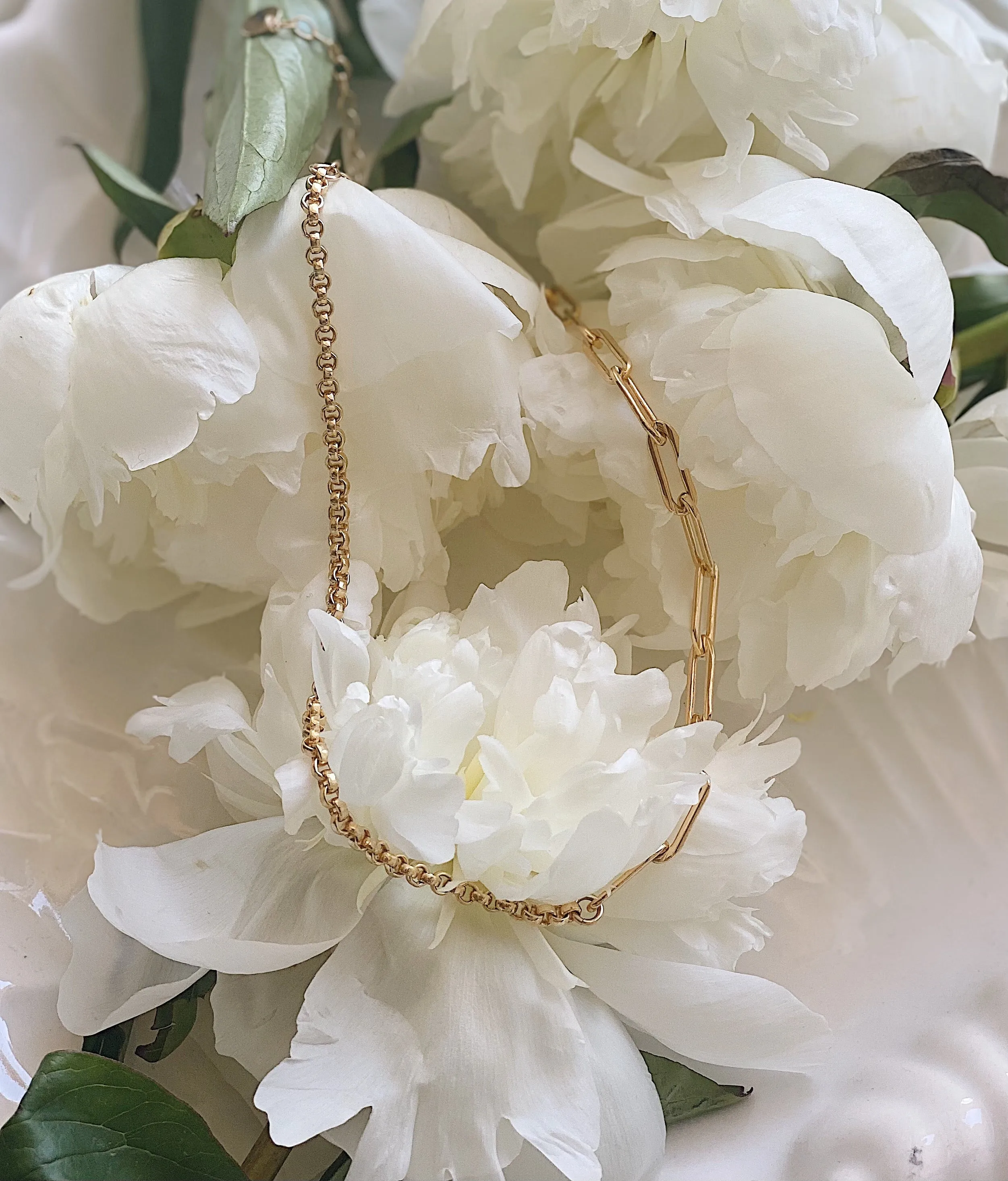 Hope Rollo Hybrid Necklace